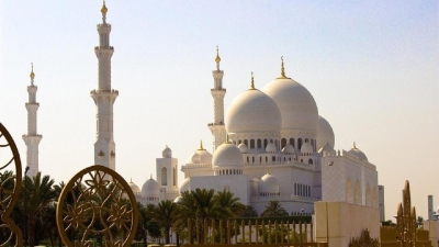 Инициативы Казахстана реализуются в рамках деятельности Организации исламского сотрудничества