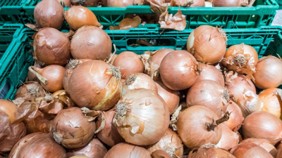 "Бледно выглядеть будем все вместе": депутат о ситуации с луком в Казахстане