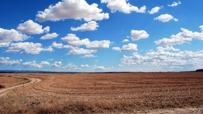 Казахстанские фермеры могут воспользоваться интерактивной картой сельхозугодий