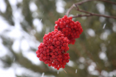 Какая погода ждет казахстанцев 11-13 января