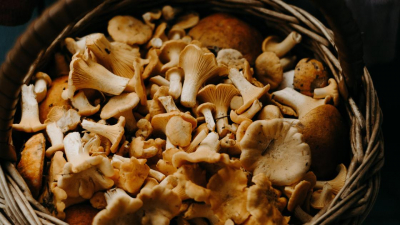 Депутат о налоге на ягоды и грибы: Их собирают бабушки и дедушки, с кого вы хотите взимать налоги