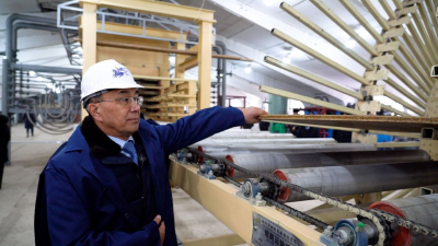 Первое в Казахстане опытно-промышленное производство экопанелей из соломы запустили в Тайынше