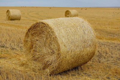 «Парадоксальная ситуация»: Президент указал на нехватку специалистов в агросекторе