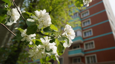 Жару до 33 градусов пообещали синоптики в мегаполисах Казахстана