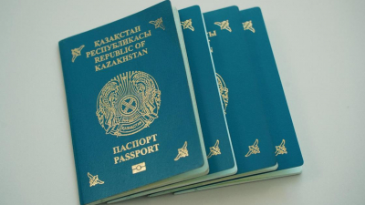 Из каких стран возвращаются кандасы в Казахстан