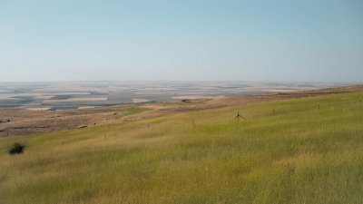 Обеспечить принудительный возврат заложенных в банках земель предложил депутат