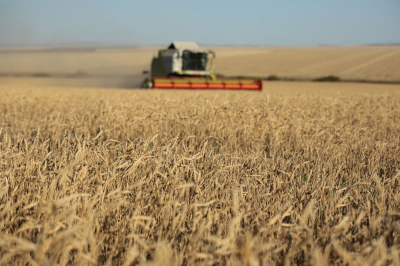Итоги года: рост казахстанского агросектора составил 6,1%