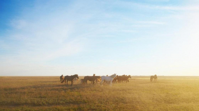 АПК, здравоохранение, инфраструктура: в правительстве рассмотрели планы развития регионов