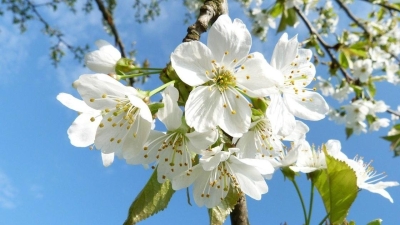 До 25 градусов тепла ожидается в казахстанских мегаполисах