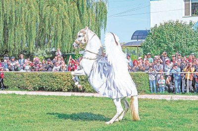 &laquo;Арабский&raquo; мейкап, или Бег на импульсе
