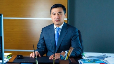 Асета Магауова освободили от должности вице-министра энергетики