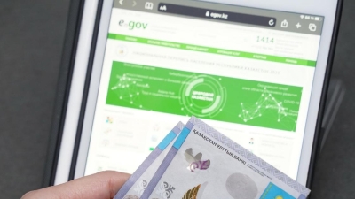 Какие бесплатные госуслуги могут стать платными в Казахстане