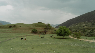 Известный бизнесмен из списка Forbes лишился земель в Алматинской области