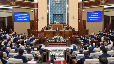 Жаксыбек Кулекеев - о мажилисе: Ожидается, что по каждому вопросу теперь будет как минимум 6 мнений