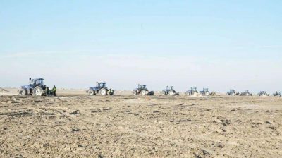 На осушенном дне Арала началась осенняя посадка саксаула