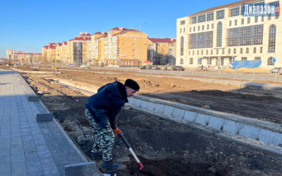 За каждое дерево мы несем ответственность