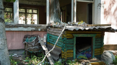 Скелеты, &quot;закладки&quot;, стаи собак: заброшенное здание возле аэропорта возмутило алматинцев (фото)