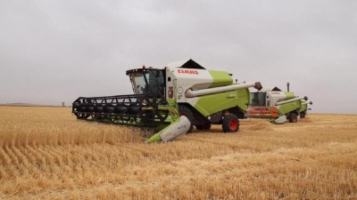 В Карагандинской области запустят линию по очистке семян