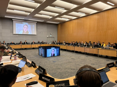 Казахстан представил результаты антикоррупционных реформ на площадке ОЭСР