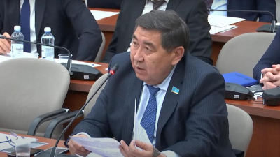 &quot;Критическая ситуация может настать&quot;: депутат о планах убрать две статьи из Уголовного кодекса