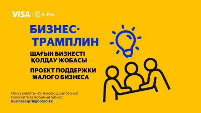 Началось голосование за лучший проект в конкурсе &quot;Бизнес-трамплин&quot; от Visa