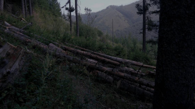 Пропавшего в горах Алматы туриста из России нашли мертвым