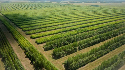 В Астане наполнят зеленый пояс и построят КОС 2