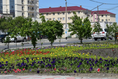 В Атырау привлекают предприятия к озеленению региона