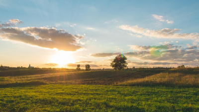 Больше 170 акимов наказали в Туркестанской области за искусственный дефицит пастбищ
