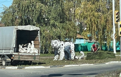 В меру упитанный