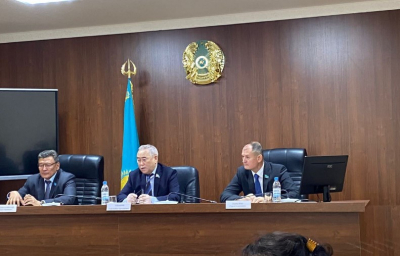 Костанайская область: проблемы и перспективы развития региона