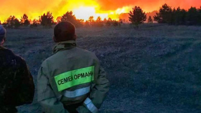 Работники &quot;Семей орманы&quot; написали жалобу Токаеву